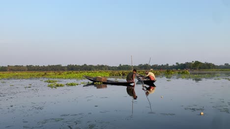 fishermen fishing in the early morning golden light manual hand pulling the net at a man made lake in kolkata, west bengal. this is dual purpose lake used for farming and fishing in bengal.