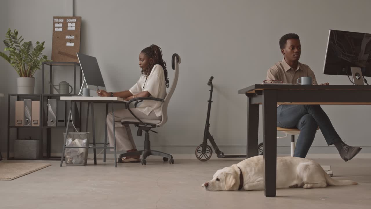 반려동물 친화적 인 사무실