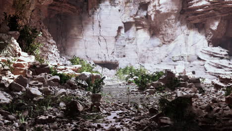 Vista-Desde-El-Interior-De-Una-Cueva-Oscura