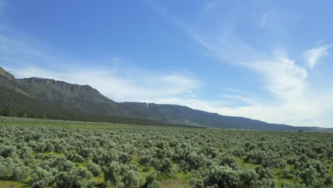 fly over sagebrush landscape in desert near abert rim in oregon, usa