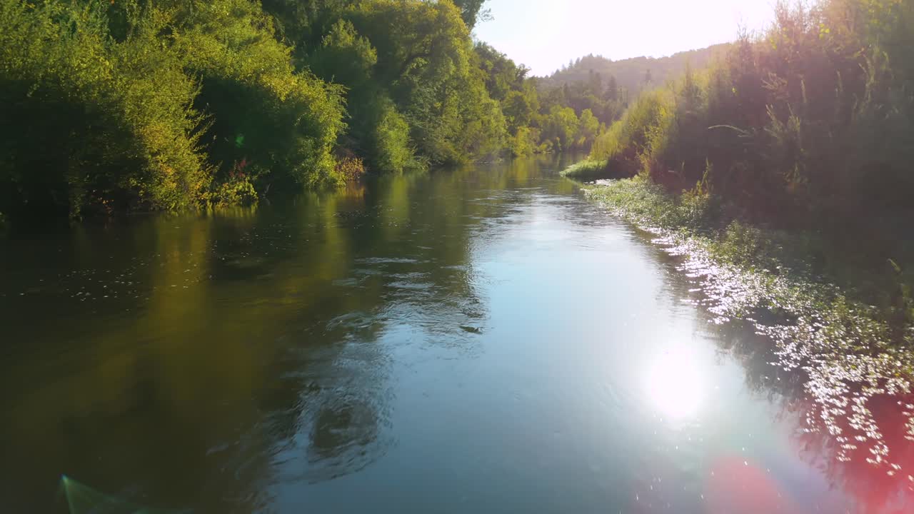 Fiume che scorre attraverso una vegetazione verdeggiante e alberi in estate. - ripresa aerea