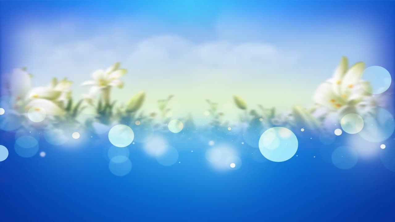 꽃 추상 모션 배경 fx