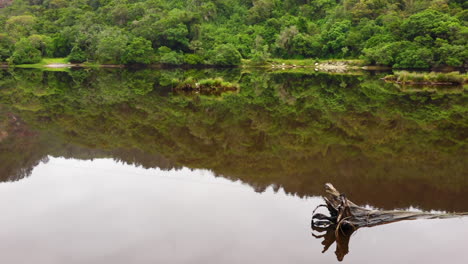 Reflection-of-log-in-river