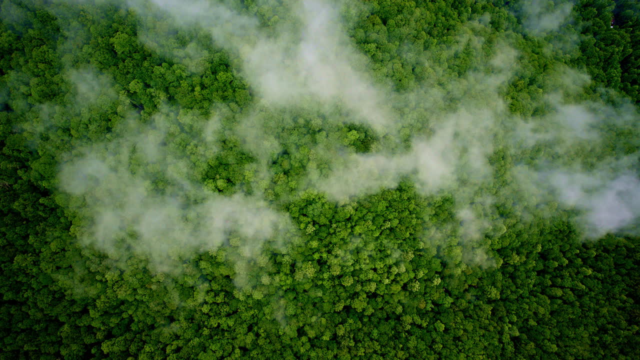 Fog and mist swirl over the Great Smoky Mountains in this drone shot