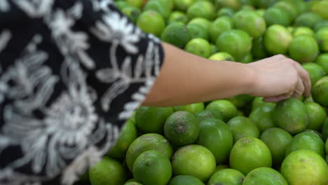 Eine-Frau-Wählt-Reife-Limetten-Aus,-Um-Sie-In-Einem-Supermarkt-Zu-Kaufen---Isoliert-Auf-Händen,-Die-Auf-Frische-Prüfen