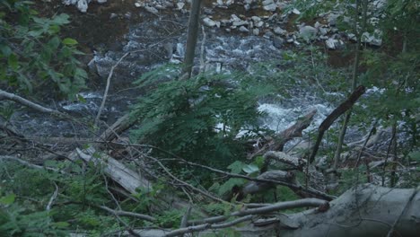 High-view-of-the-Wissahickon-Creek,-Philadelphia