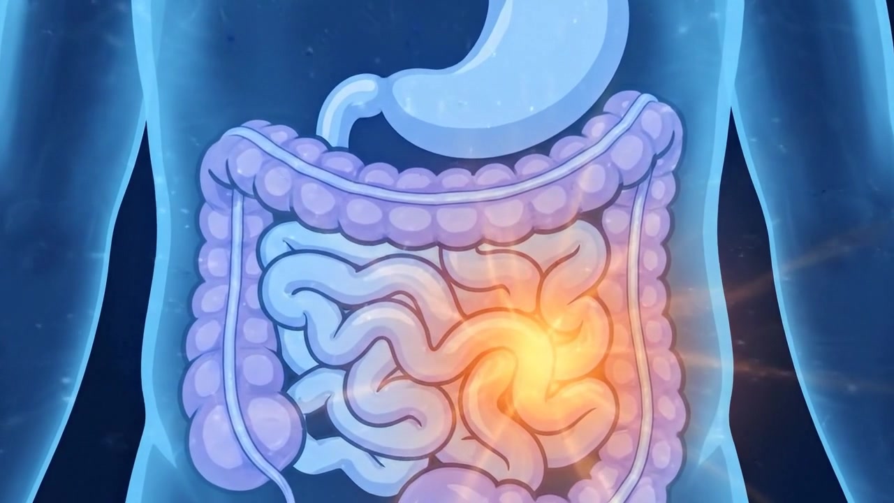 Medical Animation of Human Digestive System with Abdominal Pain