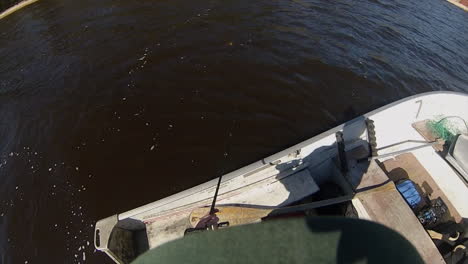 Big-northern-pike-bites-fishing-lure-at-boatside