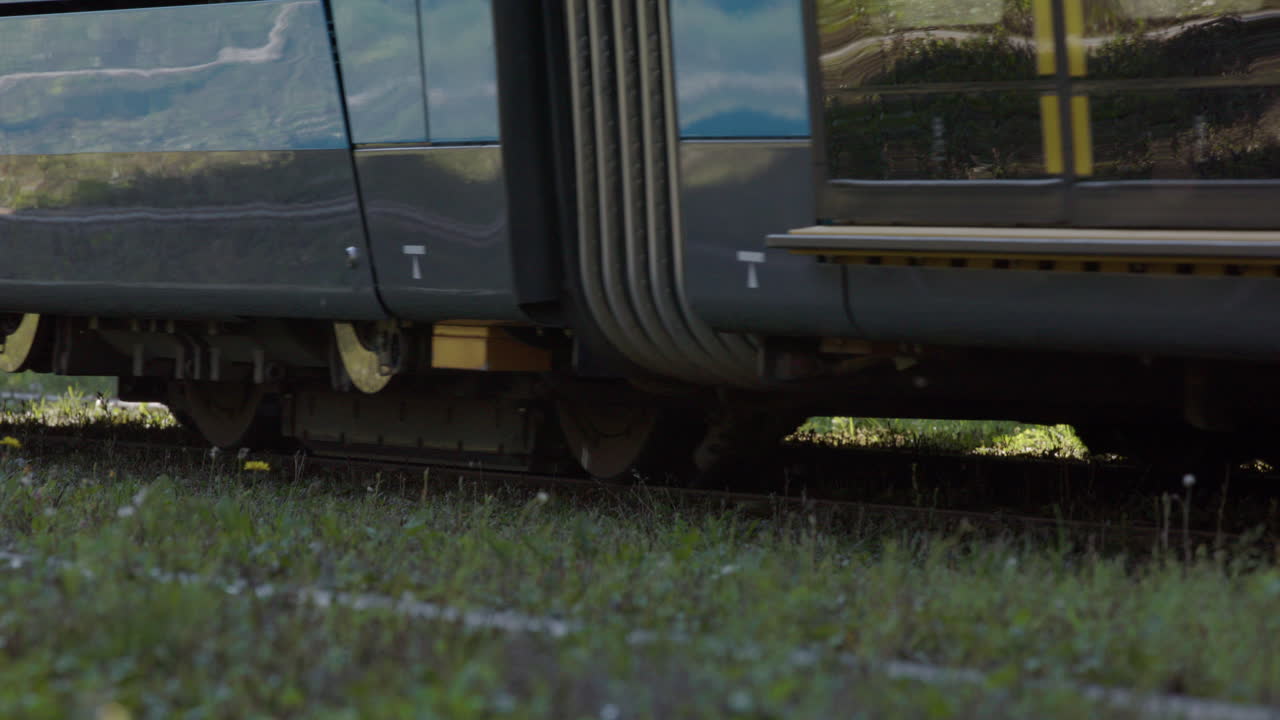 Close up of lawn grassed tram track with buzzing bugs and tram, Oslo