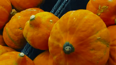 vibrant orange and colorful pumpkins on top of each other in boxes at a supermarket. pumpkins are small and have small stems on them while the skin has golden yellow and orange texture. closeup video.