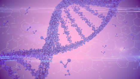 Animación-De-Cadenas-De-ADN-Y-Estructuras-Moleculares-Sobre-Fondo-Rosa