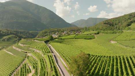 Beschreibung:
Glide-through-picturesque-vineyards-as-taxis-and-cars-navigate-the-beauty-of-wine-country