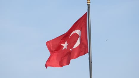 niedrigwinkelansicht der türkischen flagge gegen den himmel