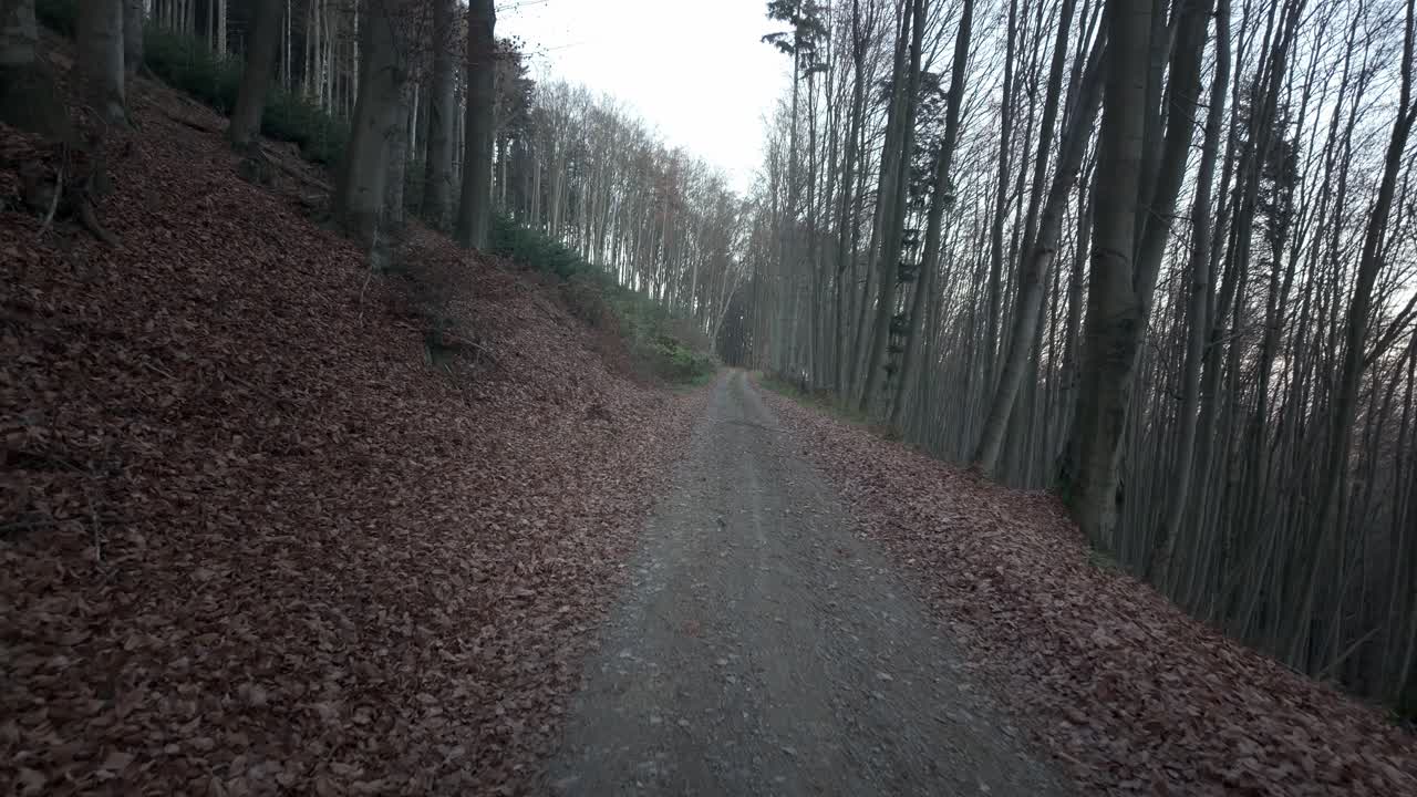 A path in the forest covered with dry leaves. Gloomy autumn mood in the hills in nature alone