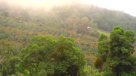 Feld-Am-Nebligen-Tag.-Guatemaltekische-Landschaft