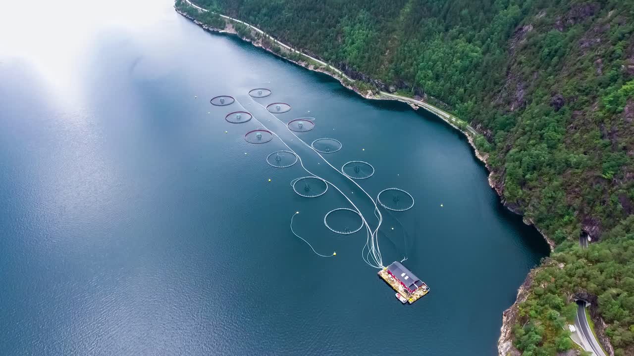 노르웨이에서 연어  ⁇ 시를 하는 공중 촬영