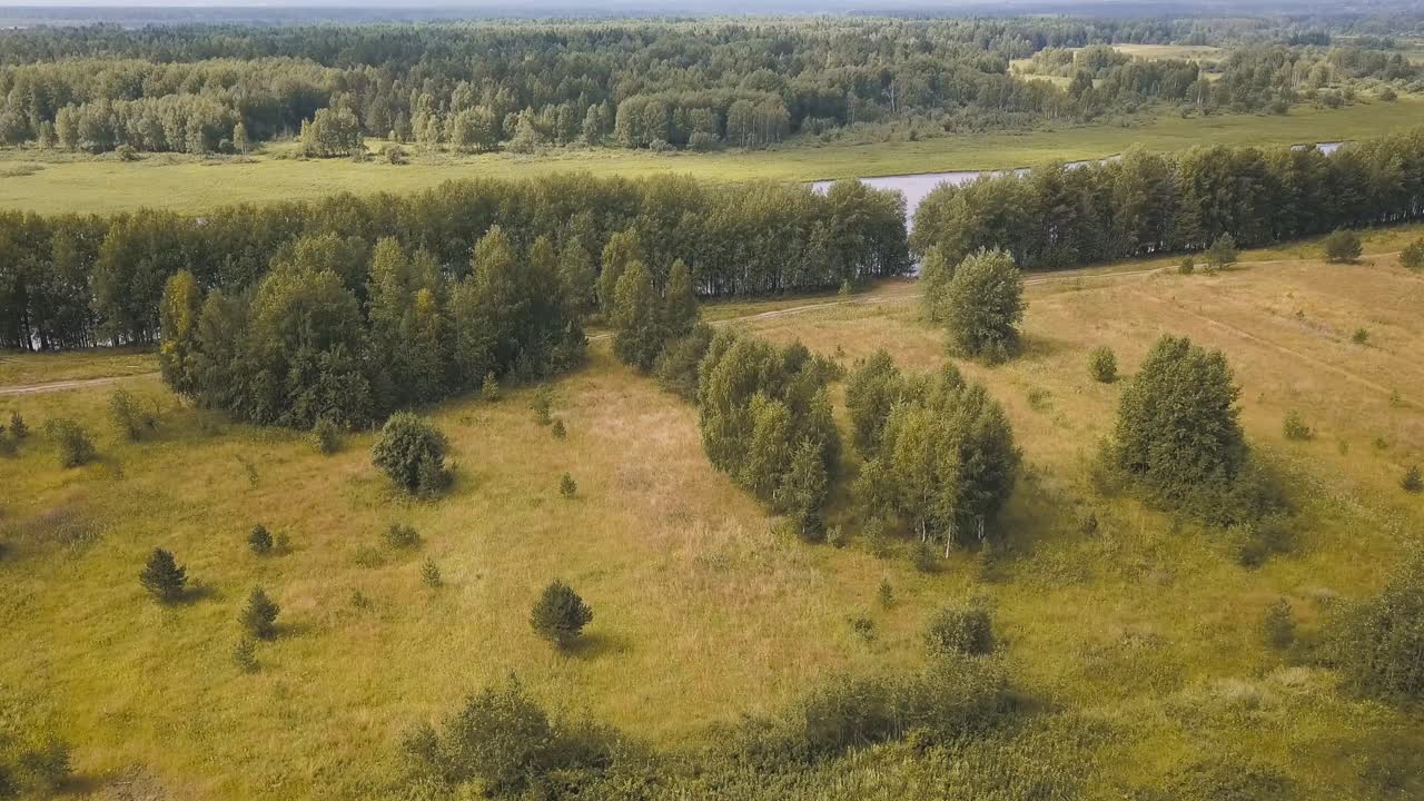 воздушный вид лесного и полевого ландшафта