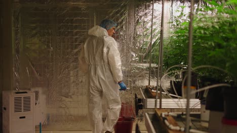 marijuana grow operation