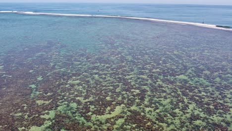 upwards aerial reveal of coral reef in tahitian lagoon at teahupo'o on tahiti iti