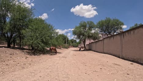 the desert with dry floor in desert spaces that are green and at the same time dry because the desert moves it in that way