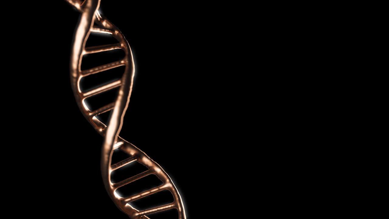 abstracto metálico brillante dorado adn doble hélice girando con transparencia. ciclo de animación científica. imágenes futuristas del genoma. diseño conceptual de la información genética. 4k uhd.