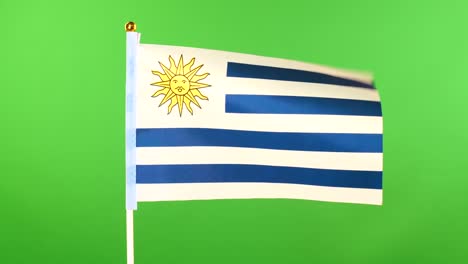 bandera de uruguay en el asta de la bandera sobre un fondo verde. bandera uruguaya ondeando en el viento.