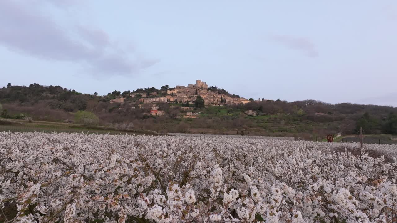 Vista aerea dell'alba sui ciliegi e sulla storica Lacoste, Francia
