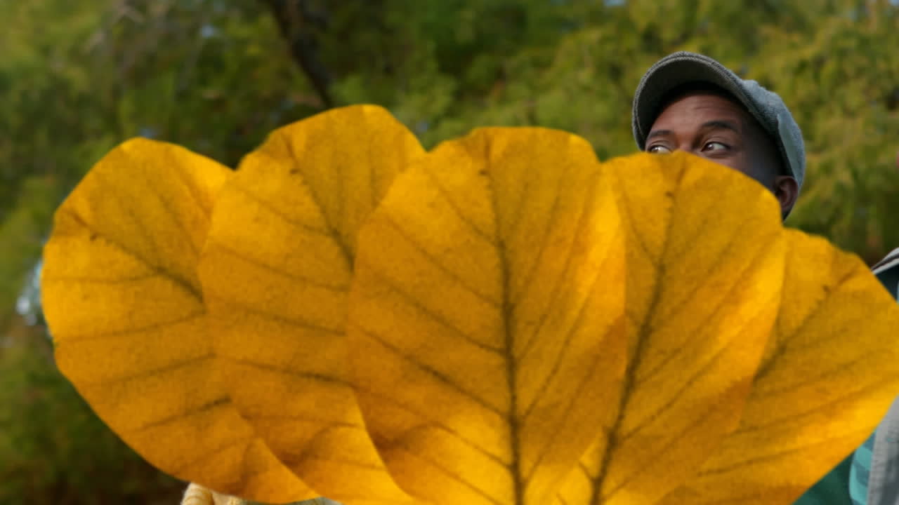 анимация осенних листьев, падающих на счастливую афроамериканскую семью в парке