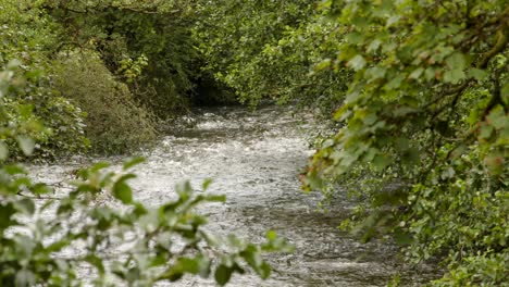 tiro largo del río afan con árboles a ambos lados en el valle de afan