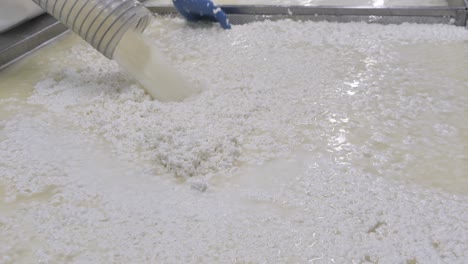 pouring whey, hand mixing in big pan with cottage cheese, curd