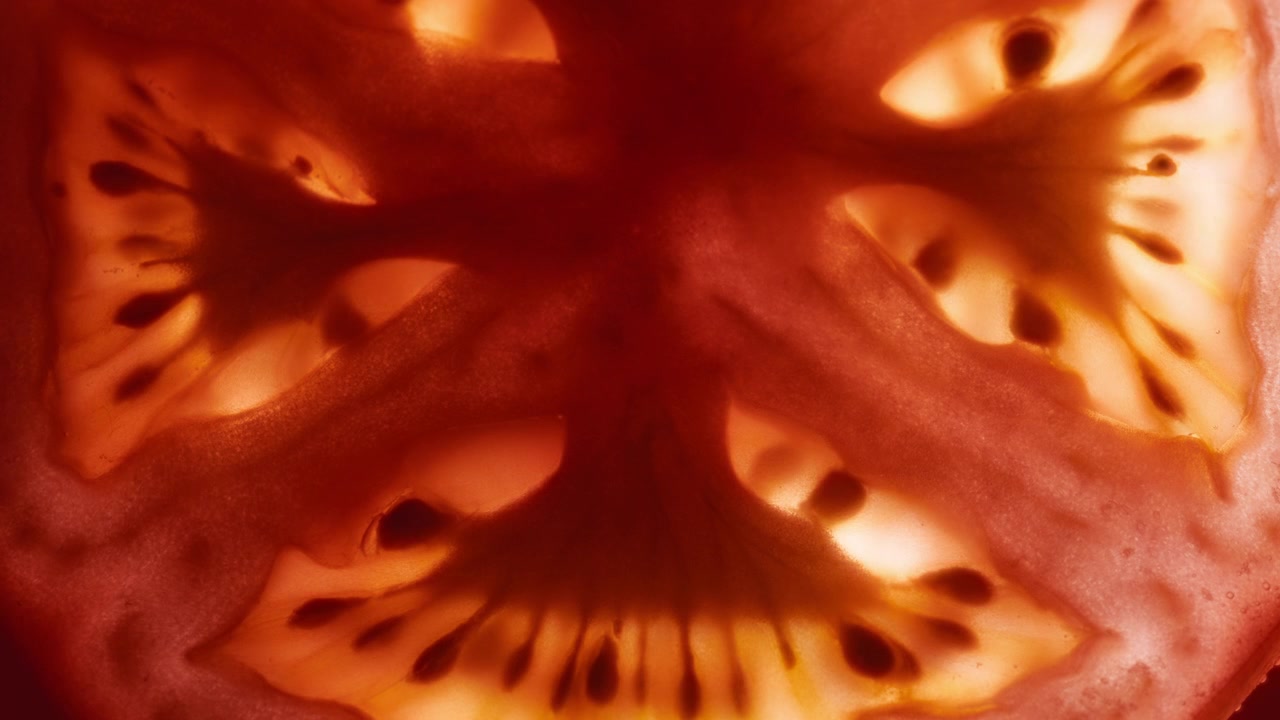 Luce che splende dietro la fetta di pomodoro. Sfondo astratto di frutta. Movimento rallentato