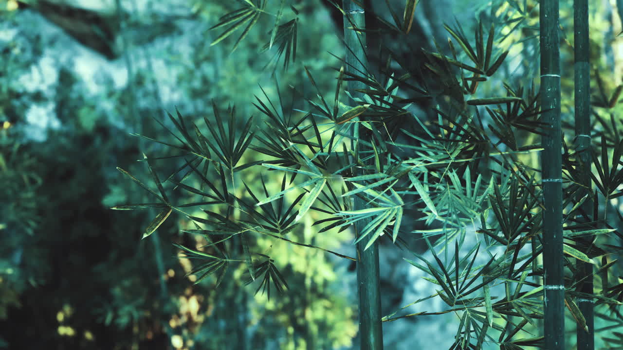 Bamboo forest in lush greenery under natural light on a sunny day