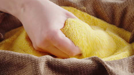 close-up of a hand sifting corn grits or cornmeal in a burlap sack