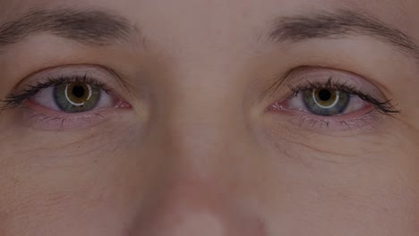 primer plano de los ojos de una mujer.