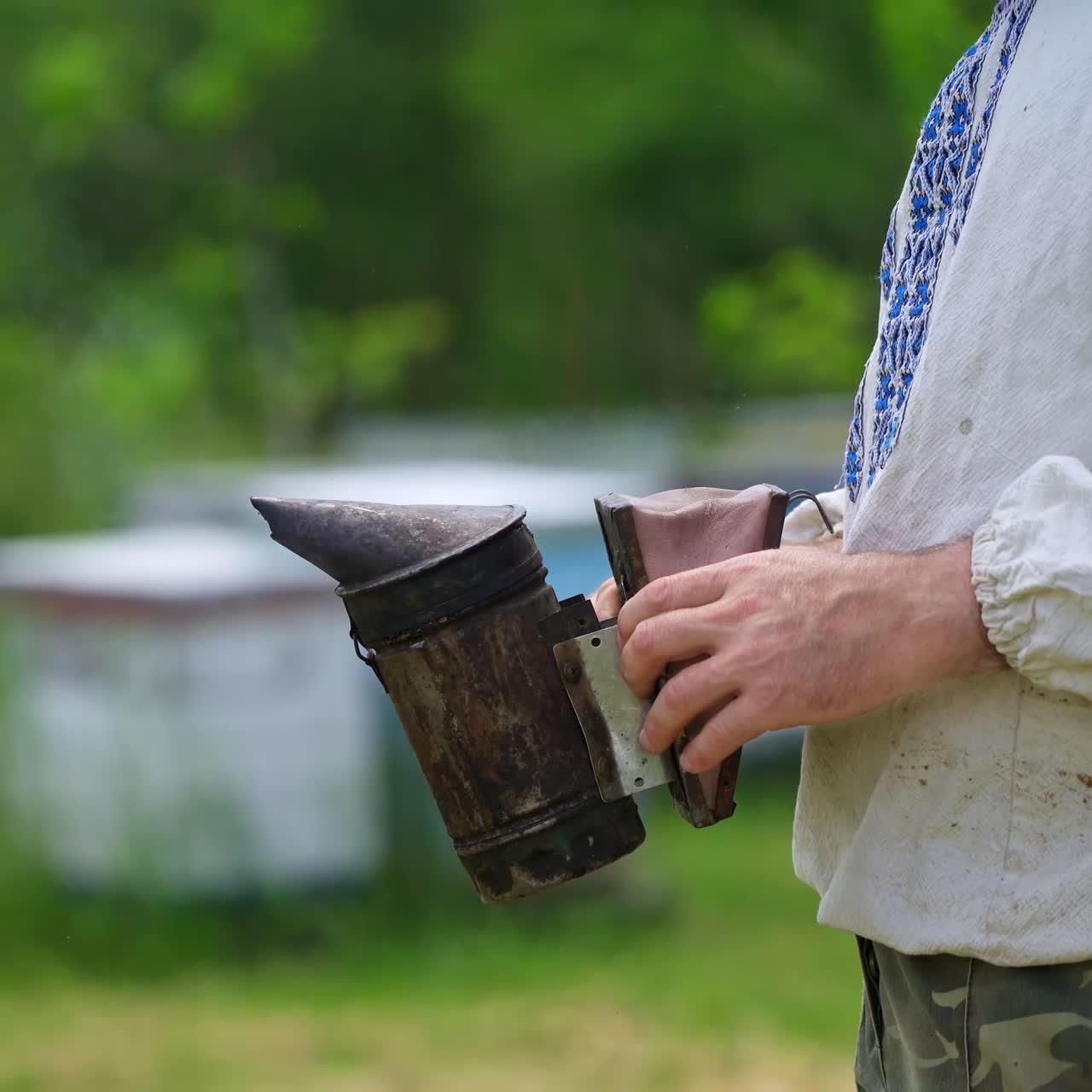 Beekeeper works with a chimney. Smoker in hands of apiarist on beehives background in summer. Apiarist concept.