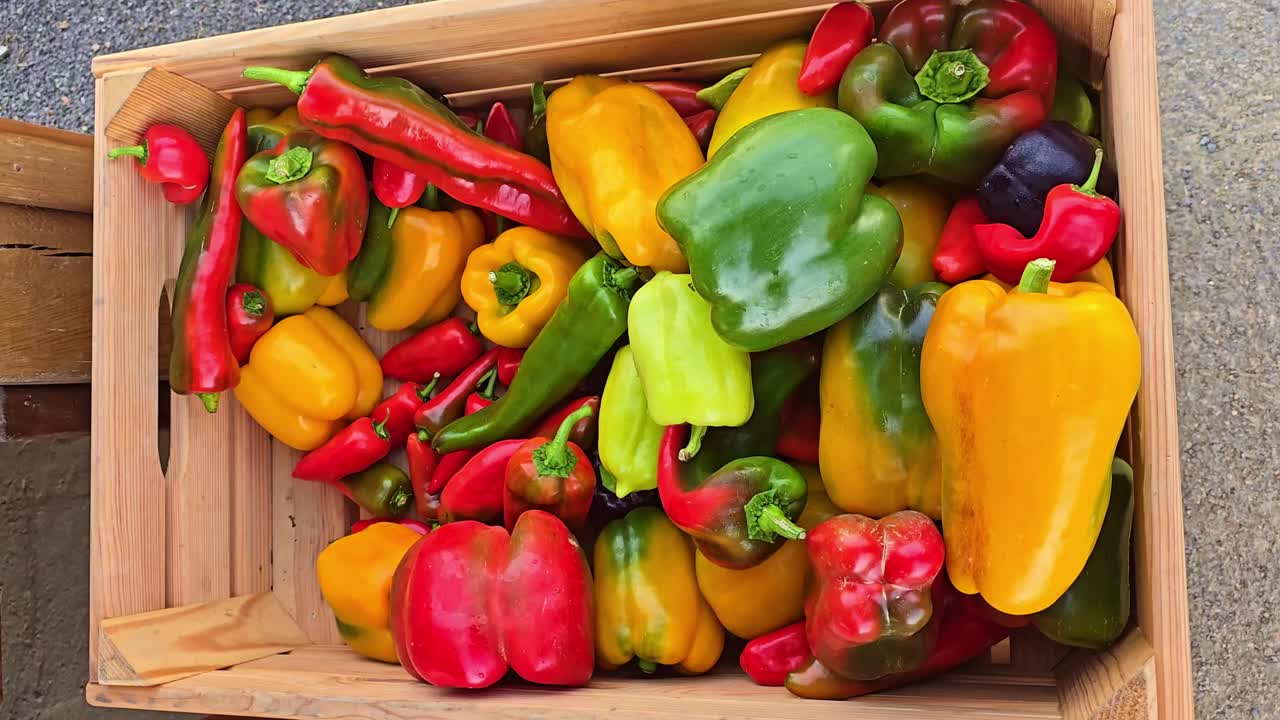A static shot shows a wooden crate filled with colorful bell peppers of various shapes and sizes, illuminated by natural light