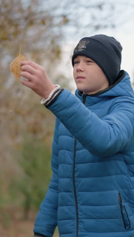 niño ruso en chaqueta azul y gorra se inclina para recoger la hoja amarilla del suelo, la observa cuidadosamente antes de colocarla en una bolsa de papel mientras está de pie en un entorno al aire libre de otoño vibrante