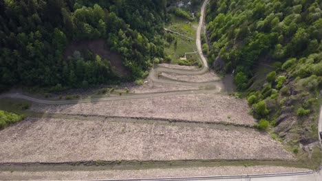 森林を切り裂く旋回道路の空撮の上向きパンショット