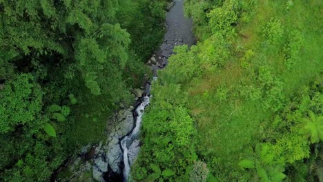 Wasserfall-Und-Fluss,-Umgeben-Von-Bäumen-Und-Gras-Am-Morgen