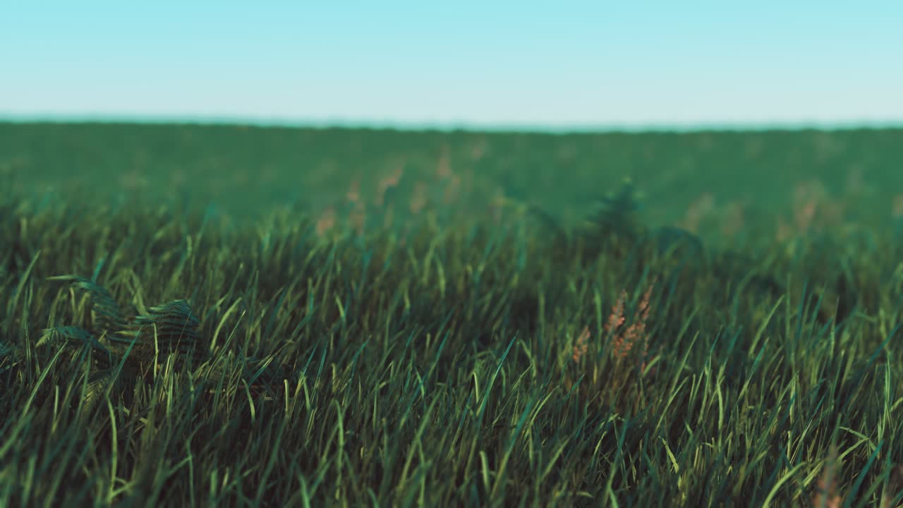 hierba verde fresca como un bonito fondo