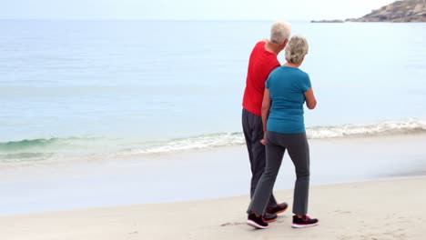 old couple walking and holding hands
