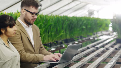 businessman in glasses choosing flowers in wholesale greenhouse