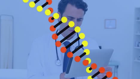 Animation-Der-DNA-Struktur,-Die-Sich-über-Einen-Kaukasischen-Männlichen-Arzt-Dreht,-Der-Im-Krankenhaus-Ein-Digitales-Tablet-Verwendet