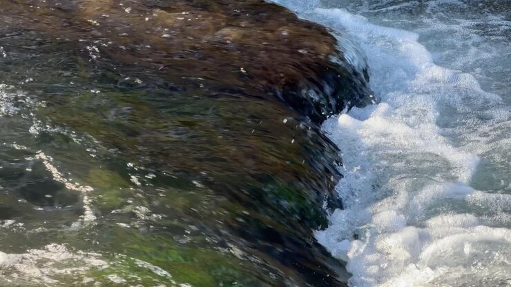 Acqua impetuosa di fiume che crea schiuma bianca e scorre sulle rocce in un ambiente naturale all'aperto.