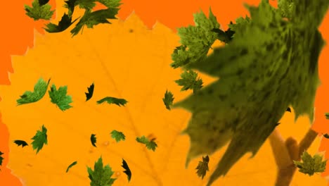 Animation-of-multiple-autumn-leaves-falling-on-orange-background