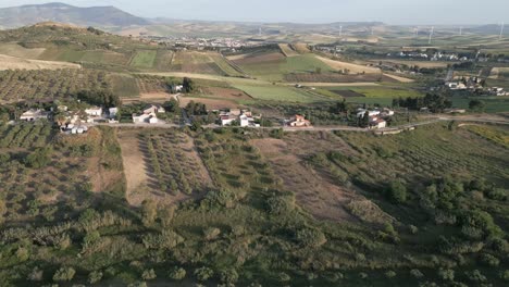 Luftaufnahme-Von-Sizilien,-Italien,-Olivenbaumplantage-Für-Die-Olivenölproduktion,-Hügellandschaft-Mit-Windturbine-In-Der-Ferne,-Grüne-Erneuerbare-Energie