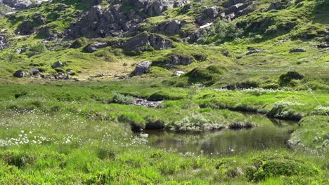 only fishing rod seen in right edge of frame while throwing lure with bait into small mountain river for trout fishing - summer norway europe