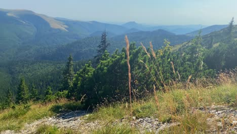 Hohes,-Vom-Wind-Verwehtes-Gras-Auf-Dem-Berggipfel-Mit-Malerischer-Aussicht,-Statische-Handbewegung