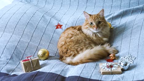lindo gato de jengibre tendido en la cama con regalos de año nuevo en papel de artesanía. hogar acogedor fondo de vacaciones de navidad