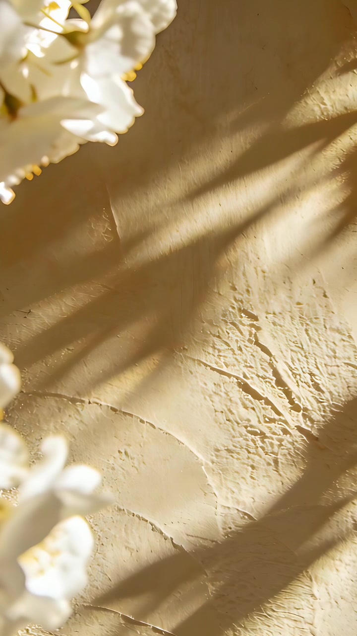 Video verticale: Ombre di foglie in movimento che attraversano una parete intonacata vicino a una finestra a causa della brezza, con fiori bianchi.